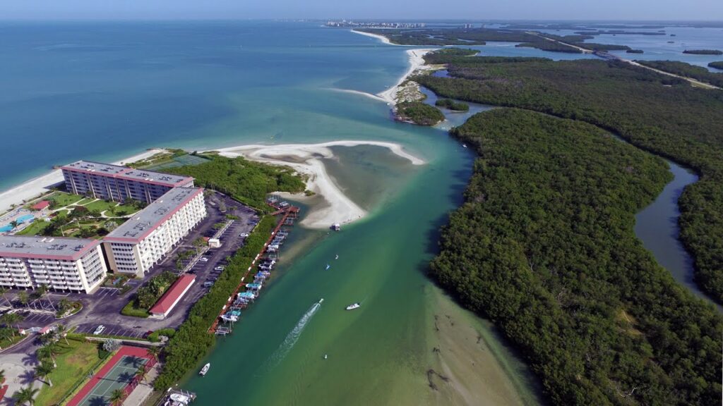 Cape Hickory Solenzara